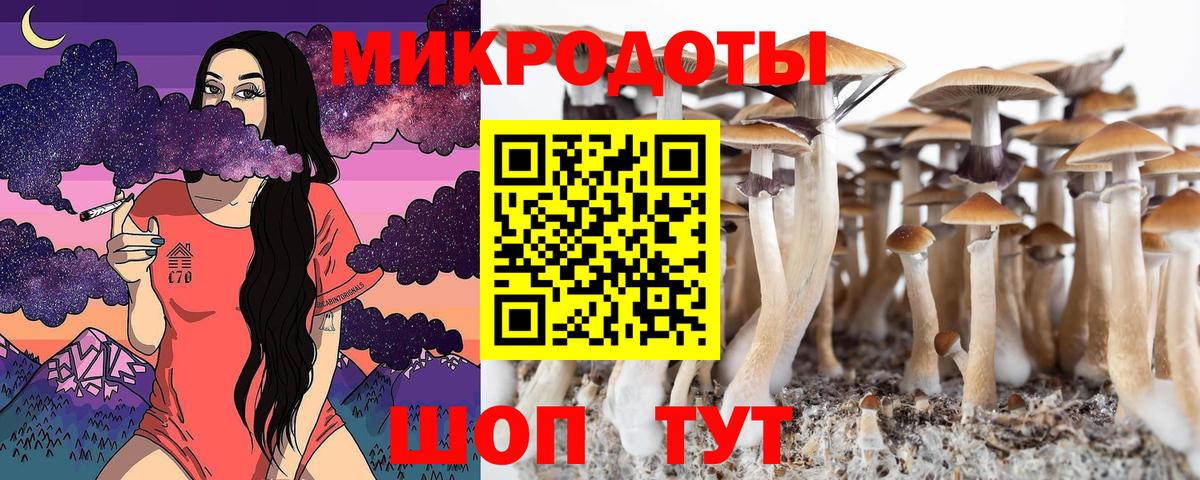 Псилоцибиновые грибы MAGIC MUSHROOMS  Вход с VPN  Новомосковск  Галлюциногенные грибы мухоморы 